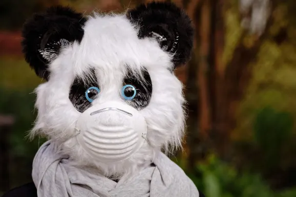 SlotsWin Casino Ënnerstëtzung